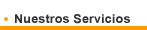 servicios informáticos